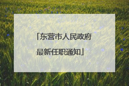 东营市人民政府最新任职通知