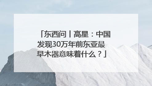 东西问丨高星：中国发现30万年前东亚最早木器意味着什么？