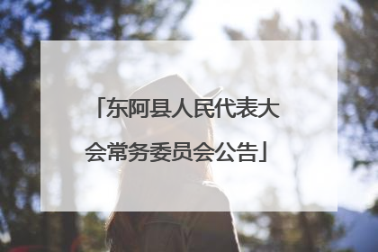 东阿县人民代表大会常务委员会公告