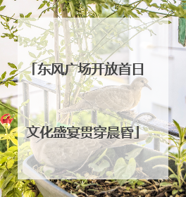 东风广场开放首日 文化盛宴贯穿晨昏