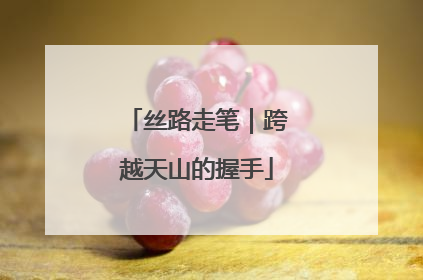 丝路走笔｜跨越天山的握手