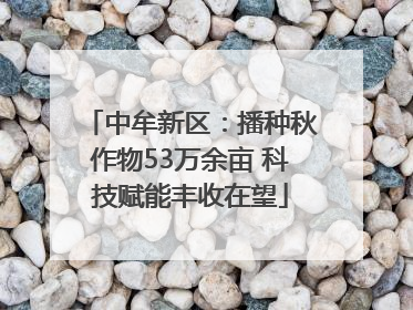 中牟新区：播种秋作物53万余亩 科技赋能丰收在望