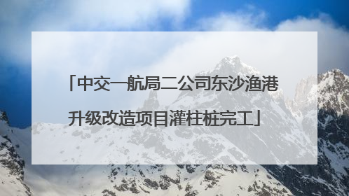 中交一航局二公司东沙渔港升级改造项目灌柱桩完工