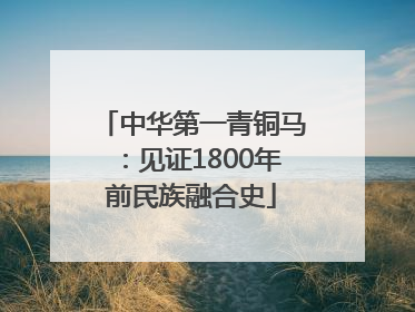 中华第一青铜马：见证1800年前民族融合史