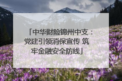 中华财险锦州中支：党建引领消保宣传 筑牢金融安全防线