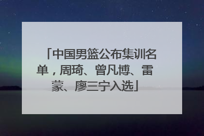 中国男篮公布集训名单，周琦、曾凡博、雷蒙、廖三宁入选