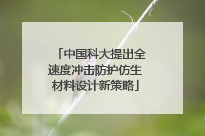 中国科大提出全速度冲击防护仿生材料设计新策略