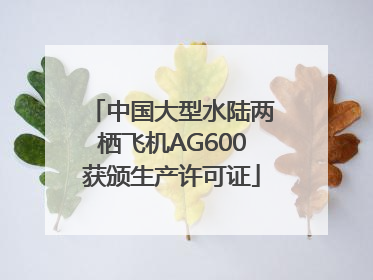 中国大型水陆两栖飞机AG600获颁生产许可证