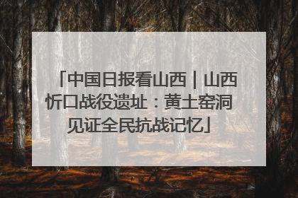 中国日报看山西｜山西忻口战役遗址：黄土窑洞见证全民抗战记忆