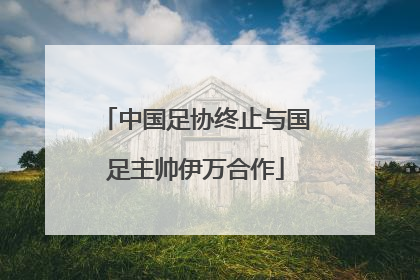 中国足协终止与国足主帅伊万合作