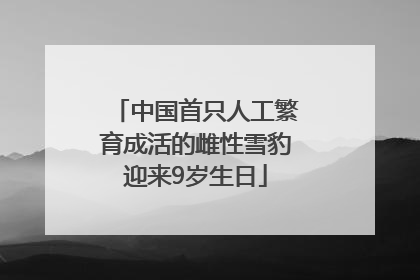 中国首只人工繁育成活的雌性雪豹迎来9岁生日