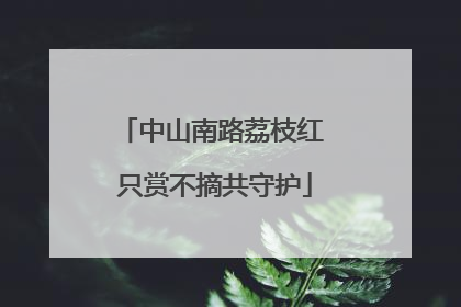 中山南路荔枝红 只赏不摘共守护