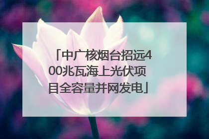 中广核烟台招远400兆瓦海上光伏项目全容量并网发电