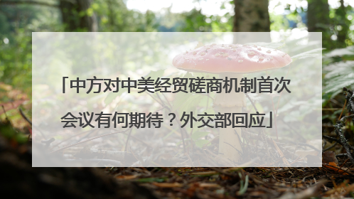 中方对中美经贸磋商机制首次会议有何期待？外交部回应