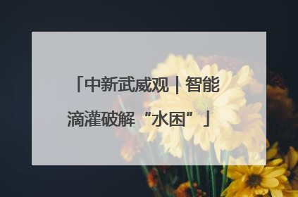 中新武威观｜智能滴灌破解“水困”
