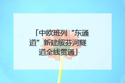 中欧班列“东通道”新建绥芬河隧道全线贯通