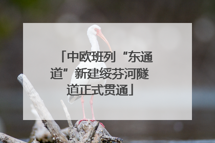中欧班列“东通道”新建绥芬河隧道正式贯通