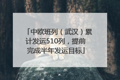 中欧班列（武汉）累计发运510列，提前完成半年发运目标