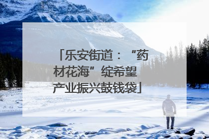乐安街道：“药材花海”绽希望 产业振兴鼓钱袋