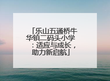 乐山五通桥牛华镇二码头小学：适应与成长，助力新启航