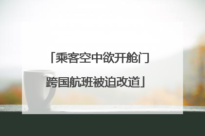 乘客空中欲开舱门 跨国航班被迫改道