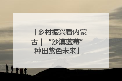 乡村振兴看内蒙古｜“沙漠蓝莓”种出紫色未来
