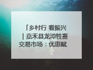 乡村行 看振兴｜嘉禾县龙潭牲畜交易市场：优惠赋能促交易 乡村振兴添动能