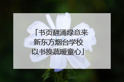 书页翻涌绿意来 新东方烟台学校以书换蔬暖童心