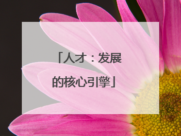 人才：发展的核心引擎