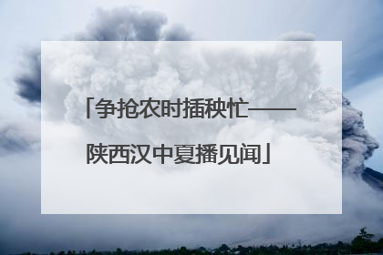 争抢农时插秧忙——陕西汉中夏播见闻