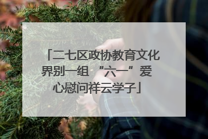 二七区政协教育文化界别一组 “六一”爱心慰问祥云学子