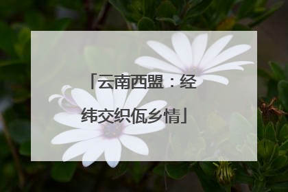 云南西盟：经纬交织佤乡情