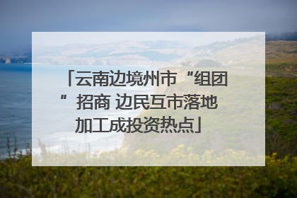 云南边境州市“组团”招商 边民互市落地加工成投资热点