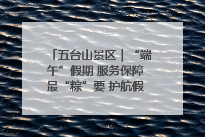 五台山景区｜“端午”假期 服务保障最“粽”要 护航假期“不打烊”