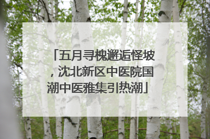 五月寻槐邂逅怪坡，沈北新区中医院国潮中医雅集引热潮