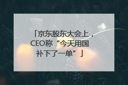 京东股东大会上，CEO称“今天用国补下了一单”