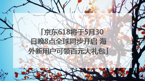 京东618将于5月30日晚8点全球同步开启 海外新用户可领百元大礼包