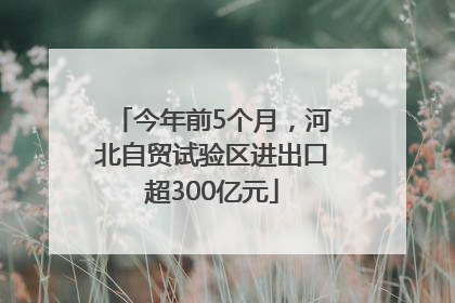 今年前5个月，河北自贸试验区进出口超300亿元