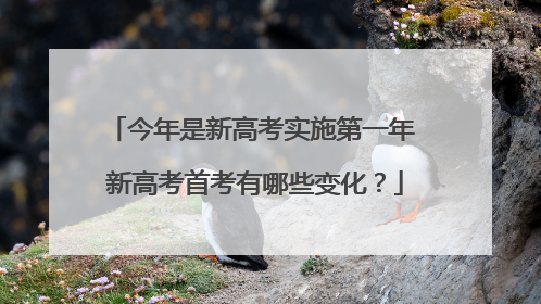 今年是新高考实施第一年 新高考首考有哪些变化？