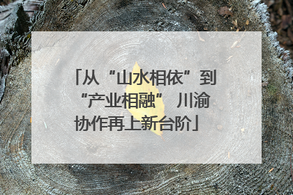从“山水相依”到“产业相融” 川渝协作再上新台阶