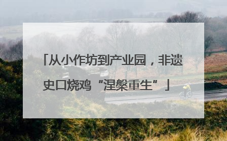 从小作坊到产业园，非遗史口烧鸡“涅槃重生”