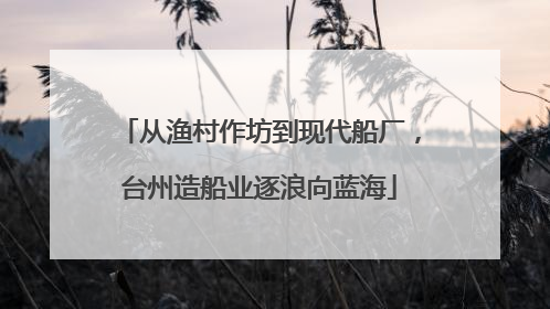 从渔村作坊到现代船厂，台州造船业逐浪向蓝海