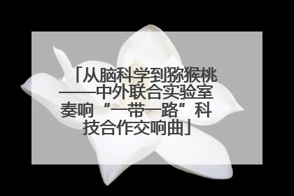 从脑科学到猕猴桃——中外联合实验室奏响“一带一路”科技合作交响曲