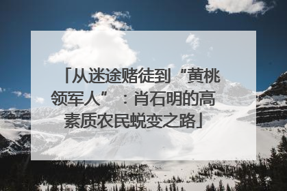 从迷途赌徒到“黄桃领军人”：肖石明的高素质农民蜕变之路
