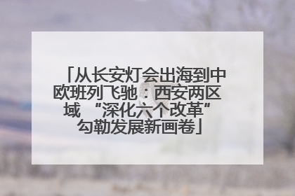 从长安灯会出海到中欧班列飞驰：西安两区域 “深化六个改革” 勾勒发展新画卷