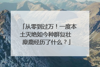 从零到过万！一度本土灭绝如今种群复壮 麋鹿经历了什么？
