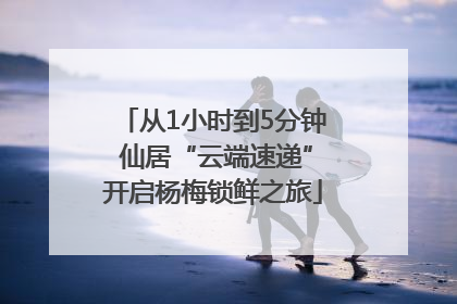 从1小时到5分钟 仙居“云端速递”开启杨梅锁鲜之旅
