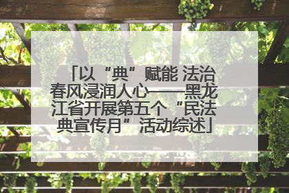 以“典”赋能 法治春风浸润人心——黑龙江省开展第五个“民法典宣传月”活动综述