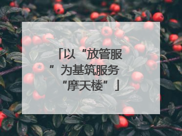 以“放管服”为基筑服务“摩天楼”