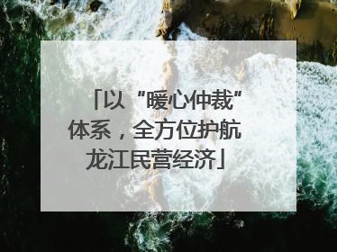 以“暖心仲裁”体系，全方位护航龙江民营经济
